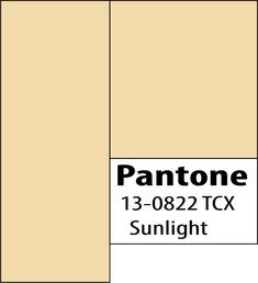 2020 Color Palette Pantone Sunlight color
