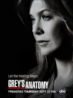 GREYS%2BANATOMY Baixar – Grey’s Anatomy – 8ª Temporada AVI Legendado