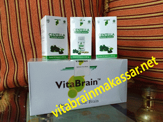 harga vitabrain di apotik