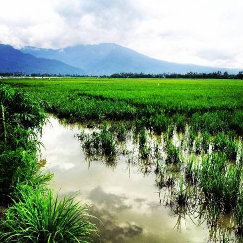 Berikut ini ada beberapa foto Tempat Wisata Di Jawa Tengah