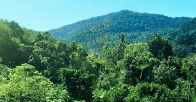 O Equilíbrio dos Ecossistemas e a Importância da Conservação