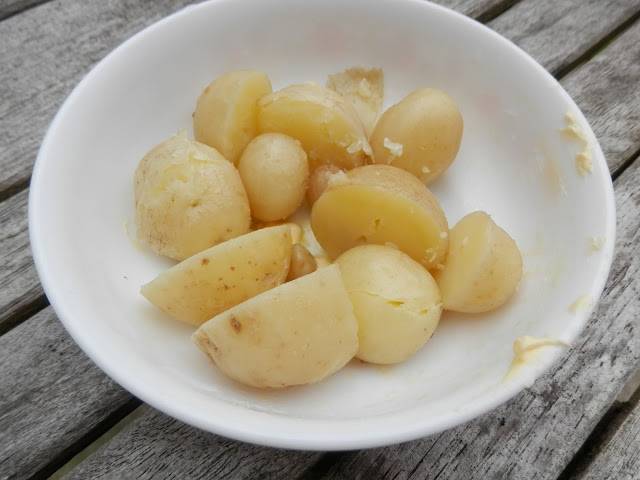 My suburban garden harvest, June 2016. Potatoes, strawberries, raspberries, onions and garlic. secondhandsusie.blogspot.com 