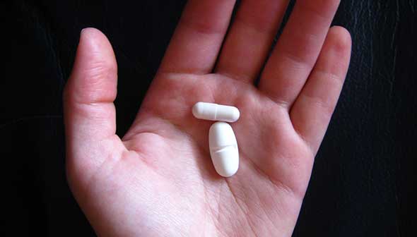 Probiotic
