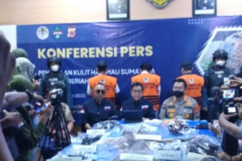 Kasus Perdagangan Kulit Harimau, Mantan Bupati Bener Meriah Cs Ditetapkan Tersangka