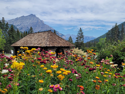 Cascade of Time Gardens flowers and mountains Banff.