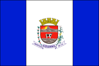 Bandeira de Aguanil