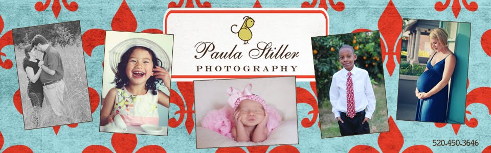 Paula Stiller Photography