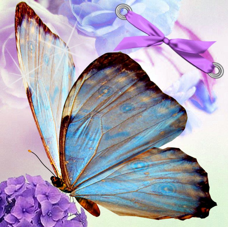 Fondos de mariposas,butterfly