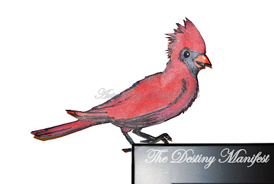 Cardinal Bird Paper Cutting Art Sketch