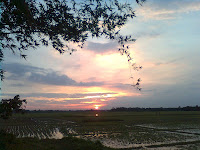 sunset on open field