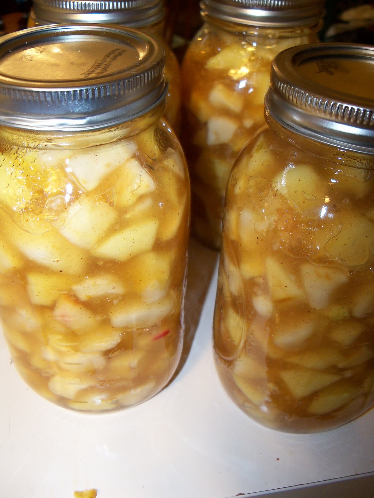 Lunches Fit For a Kid: Recipe: Apple Pie Filling (Canned)