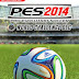 Pro Evolution Soccer 2014 World Challenge  (PC)