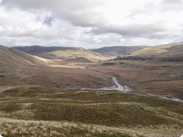 hen gwm