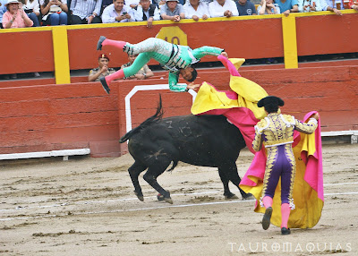 cogida toro banderillero darwin salazar tachuela acho 2019 corrida toros torero  