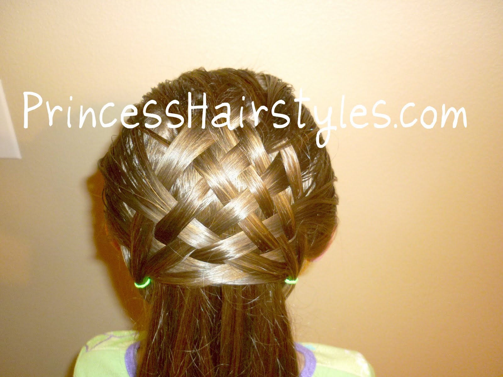 Basketweave Braid Hairstyle