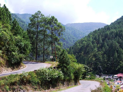 Mountain Forest in Almora