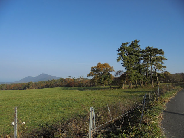 大山牧場の牧草地の風景