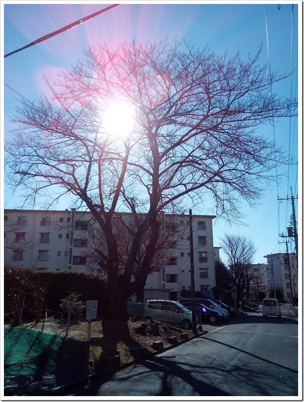 2016-01-10 12.58.47