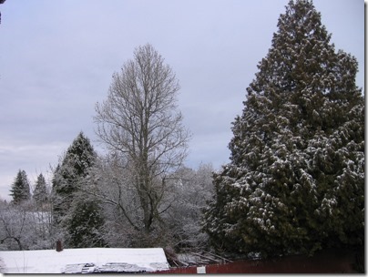 IMG_5346 Snow in Milwaukie, Oregon on January 25, 2009 IMG_5346 Snow in Milwaukie, Oregon on January 25, 2009