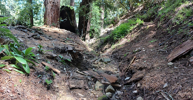 Seasonal creek in woodland area