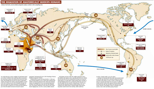 Resultado de imagen de rutas expansion humanidad desde africa