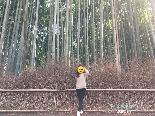 京都嵐山竹林的打卡照