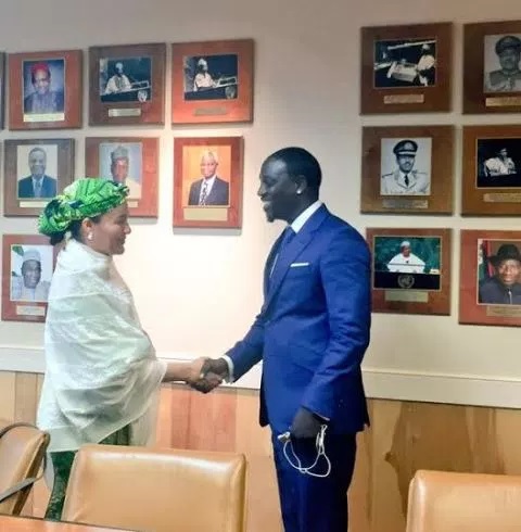 Akon meets Minister of Environment, Amina Mohammed, to discuss ‘Great Green wall project’, a pan-African proposal