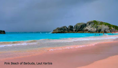 Pink Beach of Barbuda, Laut Karibia