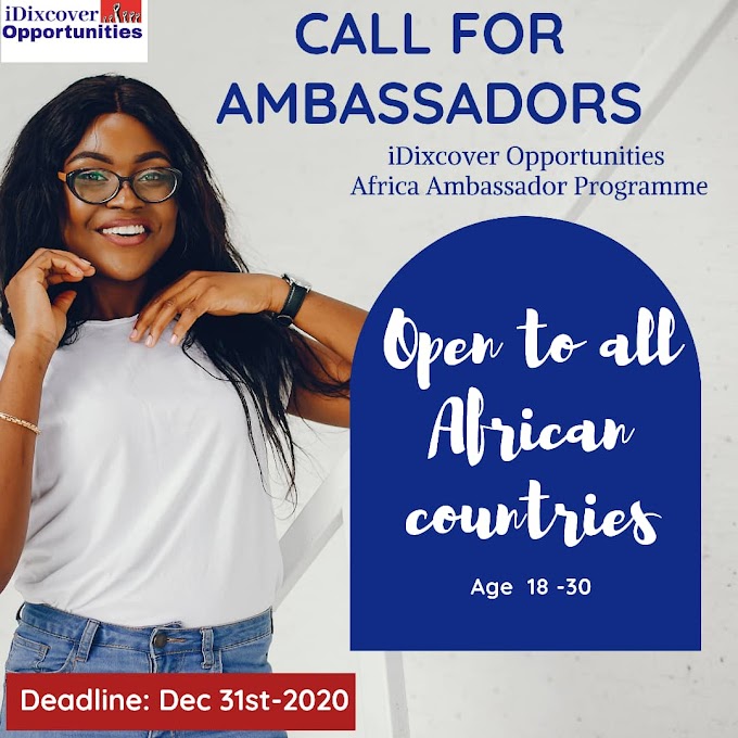 iDixcover Opportunities 2021 Africa Ambassadors Programme for Africans