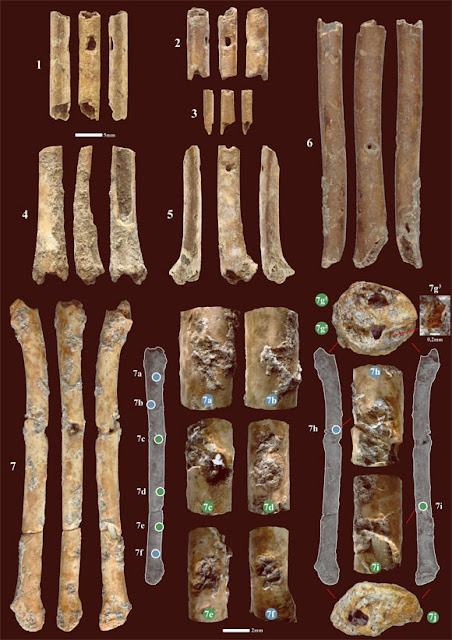 Τα ηχοπαραγωγικά όργανα ηλικίας 12.000 ετών από την Eynan-Mallaha του Ισραήλ. [Credit: Davin et al., doi: 10.1038/s41598-023-35700-9]