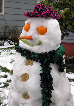 GLAMOUR SHOT snowman