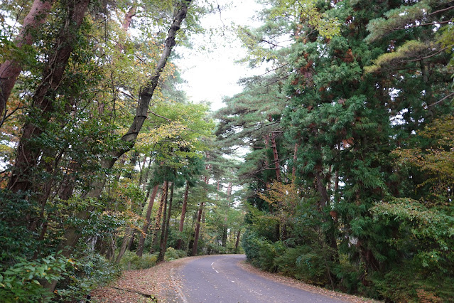 鳥取県西伯郡伯耆町丸山　ロイヤルシティ大山　赤松の森