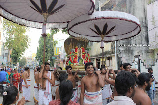 Sri Ranganatha Perumal, Pallava Utsavam, Sri Mannatha Perumal,Thirumanjanam, Purappadu,  Triplicane,  Purappadu, Thiruvallikeni, Utsavam, 