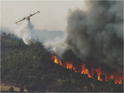 Canadair descargando agua en un incendio