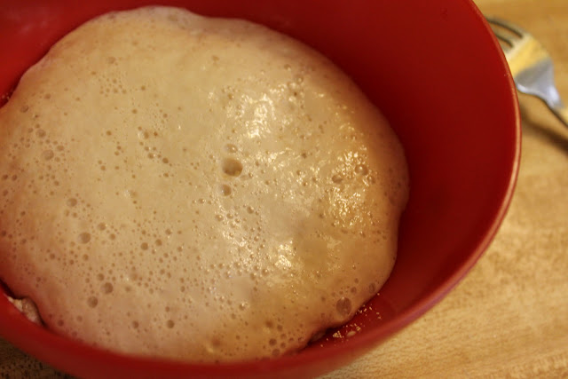 How To Make Basic Roll Dough via The Taste Tester