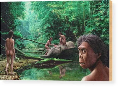 Homo Floresiensi, manusia purba dari Flores diberi  julukan "hobbit" karena ukuran tubuhnya yang kecil, dengan tinggi sekitar 1 meter dan berat sekitar 25-30 kilogram.