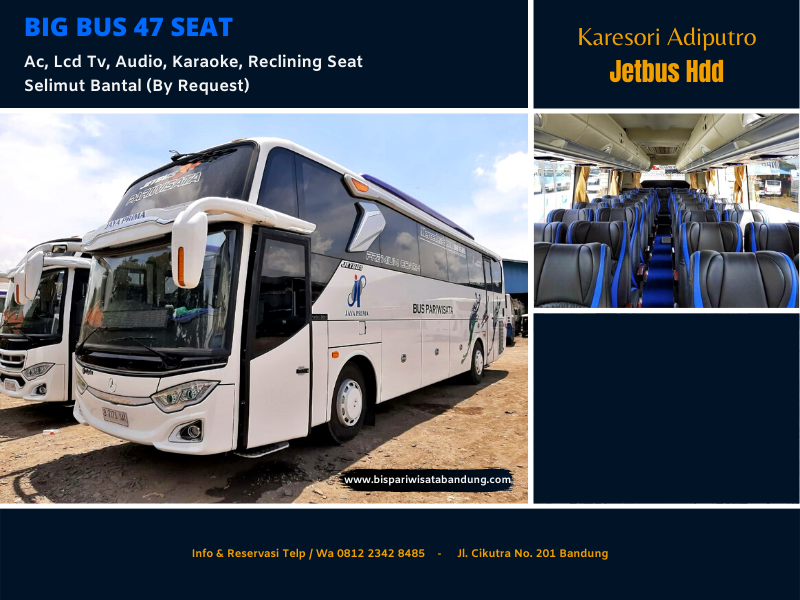 Big Bus Jetbus Hdd 50 Seat