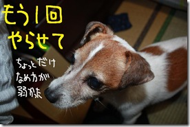 今日カズ１００８０４　４