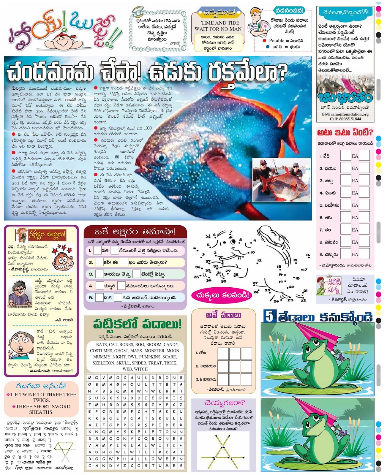 TELUGU BASHA: teLUGU kIDS Special  PUZZLES, GK, FUN GAMES, STORIES, TIPS