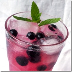 blueberry-lemonade-photo-260-ac-008