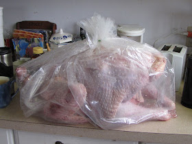 30 pound turkey