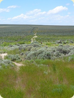 Pioneers' Wagon Wheel Ruts by Betsy Markman