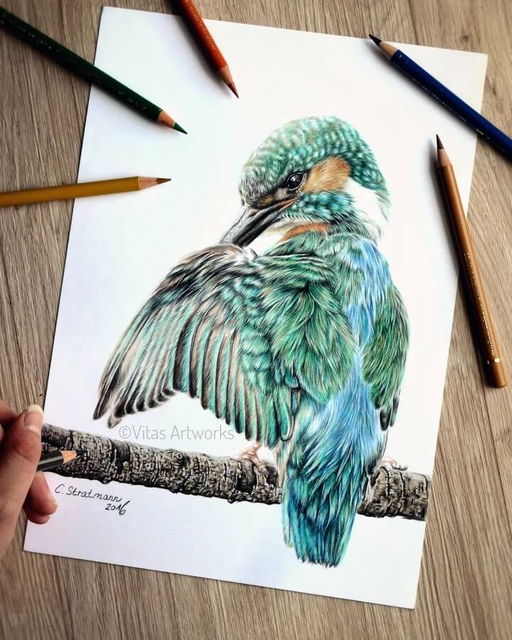 02-bird-preening-animal-art-von-carolin-behnke-www-designstack-co