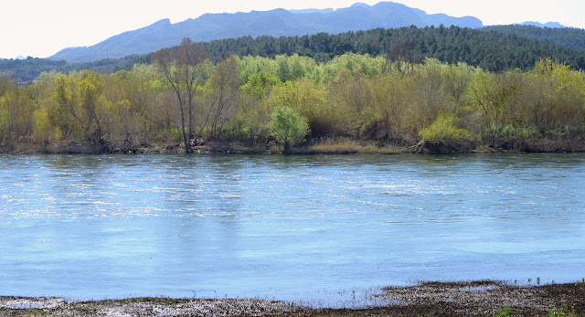 Riu Ebre per Miravet