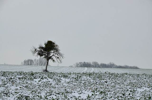 Paysage de campagne sous la neige Puisaye