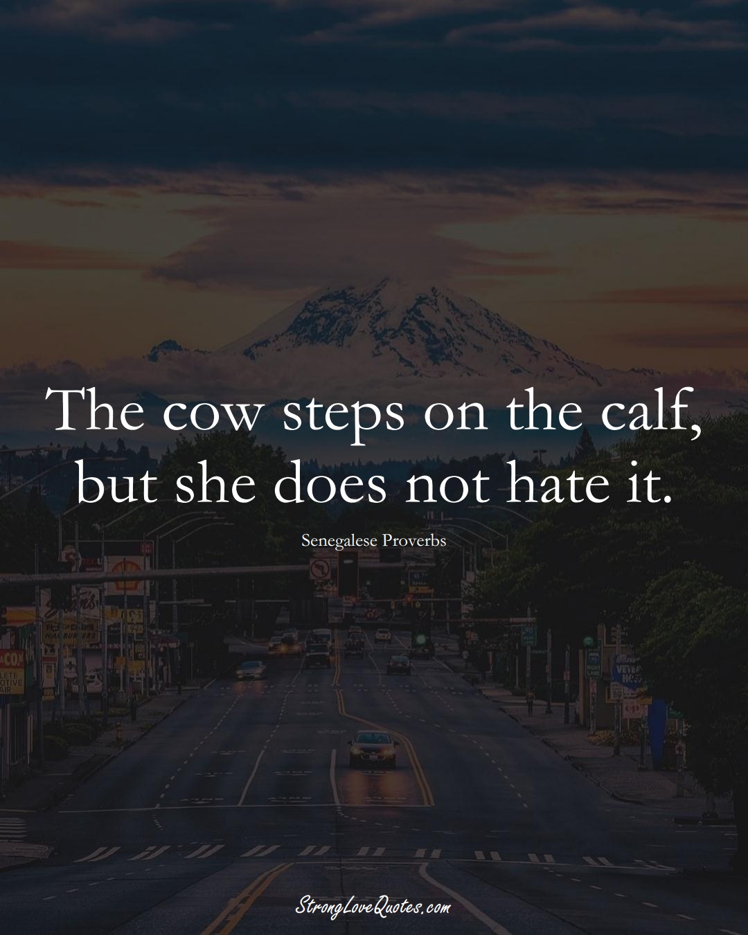 The cow steps on the calf, but she does not hate it. (Senegalese Sayings);  #AfricanSayings