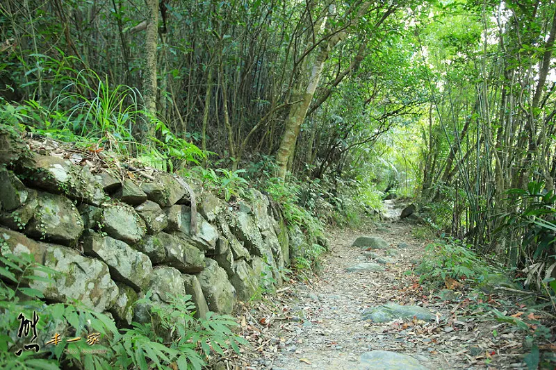 三峽雲森瀑布楓紅