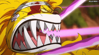 ワンピースアニメ 1050話 ネコマムシ | ONE PIECE Episode 1050