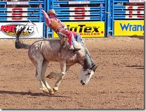 Tucson Rodeo 016