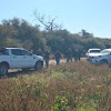 HALLARON EL CADÁVER DE UNA PERSONA DESAPARECIDA EN COLONIA EL CABURE CHACO.